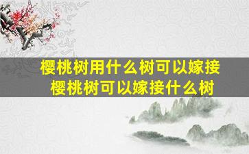 樱桃树用什么树可以嫁接 樱桃树可以嫁接什么树